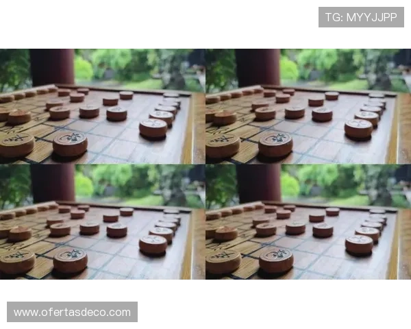 如何选择适合自己的真人电子棋盘提升游戏体验和对弈效率的实用攻略与用户评价分析